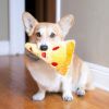 Παιχνίδι σκύλου Pizza Slice