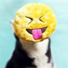Παιχνίδι σκύλου Emoji Tongue Out