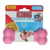 Kong Puppy Goodie Bone Small