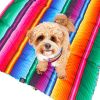 Στρώμα ταξιδίου σκύλου/γάτας Mexican Fiesta
