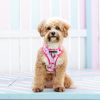 Σαμαράκι σκύλου Tie Dye ροζ