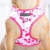 Σαμαράκι σκύλου Tie Dye ροζ