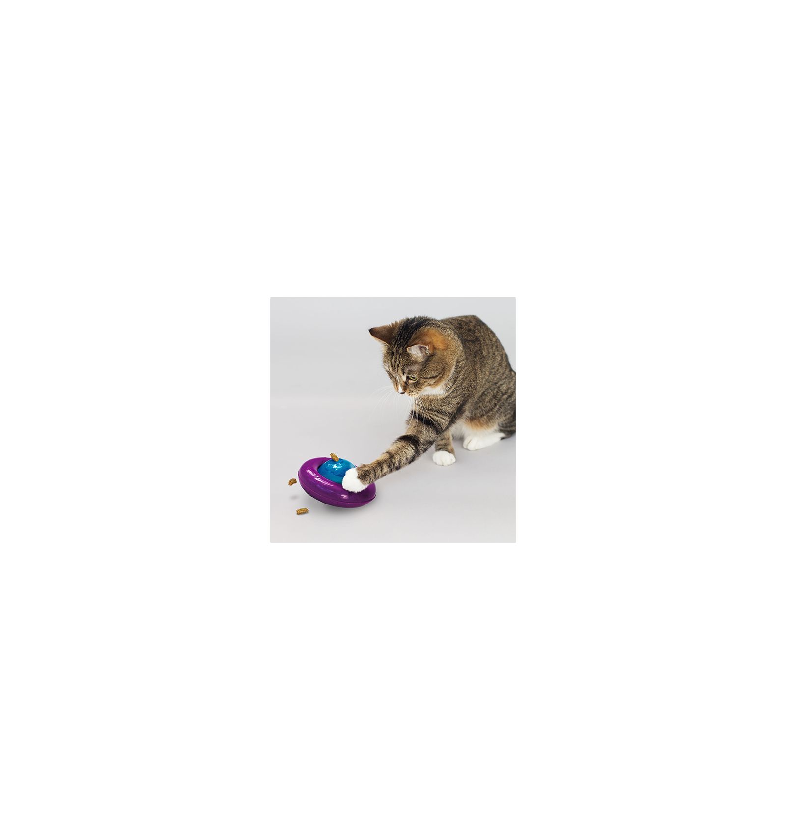Kong Infused Gyro Cat Toy