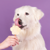 Παγωτό σκύλου με γεύση Μπανάνα