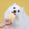 Παγωτό σκύλου με γεύση Μπανάνα