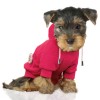 Φούτερ Hoody Zembra