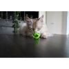 Crazy Cat Μπαλάκι Wobbler 